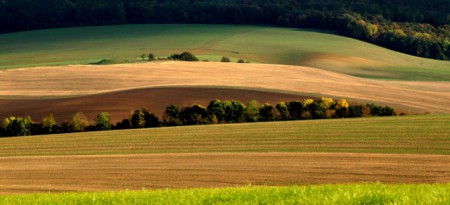 Krajina - Ivan Filip